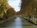 Les platanes majestueux du Canal du Midi, procurant ombrage et fracheur