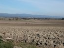 La plaine agricole du Lauragais et la Montagne Noire  l'horizon ; depuis Villasavary