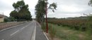 Exemple intressant de traitement de limite urbaine  Montredon-des-Corbires : un alignement d'amandiers le long de la route d'accs au village