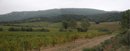 La plaine viticole et le massif de Fontfroide