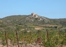 Les ruines du chteau d'Aguilar veillent sur la plaine viticole