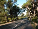 Squence remarquable de route boise ; ici dans le vallon de Moujan