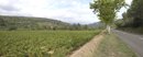 Fond de valle cultiv en vigne vers Lagrasse