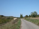 Paysage jardin vers Montlaur : cazelle, muret en pierre, cyprs, vignes