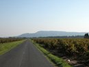 La silhouette de la montagne d'Alaric depuis la plaine de l'Aude vers Puichric
