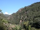 Reboisement de pins noirs et affleurements de schiste dans la valle de l'Argent-Double