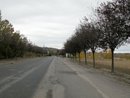 Entre dvalorisante dans Belvze-du-Razs : surlargeur de la route, abords trop urbains, arbres trop petits