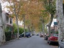 Exemple intressant de la rue du Lac  Belvze-du-Razs : alignements de platanes, usage mixte piton/voiture de la rue