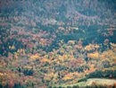 Les pentes boises du rebord du plateau de Sault dessinent une belle draperie colore ; ici en automne.
