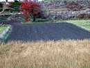 Petite parcelle jardine et murets de pierres sches aux abords de Rodome