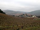 Roquetaillade : le village parmi les vignes