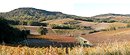 Plaine viticole et pentes boises en feuillus ; ici entre Villar-Saint-Anselme et Saint-Polycarpe
