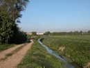 Un lieu de promenade potentiel entre le lotissement et la plaine