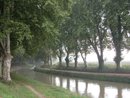 Le canal de la Robine et ses alignements de platanes vers Cuxac-d'Aude