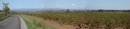 La plaine viticole et la Montagne Noire à l'horizon sur la route de Marseillette à Aigues-Vives