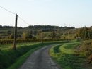 Vignes, champs labours et bosquets d'arbres sur les coteaux de Cazilhac au sud de Carcassonne