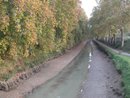 Le Canal du Midi vers Villemoustaussou : mise  sec pour le curage