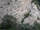 Dtail de la falaise du massif calcaire des Angles.