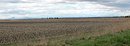 Paysage agricole simplifi de l'ancien marais de la Souteyranne, vu depuis la RD 179.