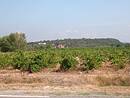 Dbut de mitage en pied de colline de Castillon-du-Gard, vu depuis la RD 19a.