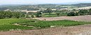 Le paysage agricole entre Euzet et Saint-Jean-de-Ceyrargues.