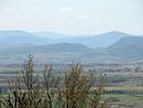 La barrire bleute des Cvennes, qui compose l'horizon des garrigues. Ici vue depuis les hauteurs de Barjac.