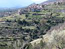 Bdousse et ses terrasses ; au fond le chteau du Chaylard.
