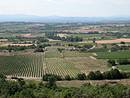 La plaine viticole et agricole, vue depuis Montagnac.