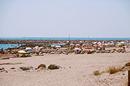 Durcissement du paysage sableux de la plage par dmultiplication des pis rocheux,  Frontignan plage