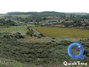  Vignes, pins, affleurements calcaires blancs et terra rossa, vers Castelnau-de-Guers