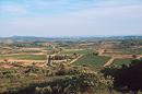 La plaine de Villeveyrac et son damier viticole et agricole