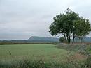 La plaine agricole et viticole de Campagne, avec la montagne de la Pne  l'horizon