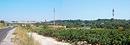Le coteau de la Mosson et l'urbanisation du quartier de la Paillade, vus depuis la plaine de Juvignac