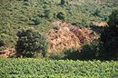 Terra rossa  nu, entre vigne et garrigue