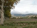 Les hauteurs calcaires des garrigues et Flines, vues depuis la plaine viticole
