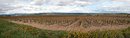 Les garrigues de Minerve, qui forment l'horizon de la plaine viticole de l'Aude. Vue depuis la plaine  Olonzac.