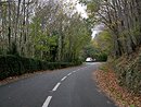Paysage de route de qualit, avec buis taill en accompagnement  gauche vers Usclats-le-Haut (Verreries-de-Moussans)