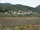 Habitat rcent correctement plac en pimont mais manquant de densit,  Roquebrun