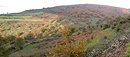 Un petit air de Pays Basque avec les hauteurs des croupes dgages et couvertes des taches rousses de fougres aigle, auxquelles s'ajoutent quelques chtaigniers : une vgtation qui trahit la prsence des basaltes en surface, au-dessus des calcaires