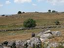 Champs de rochers prs de Malbouzon