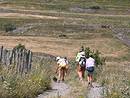 Chemin sur l'Aubrac