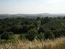 Landes en voie de fermeture par la fort, au-dessus de la valle de l'Allier vers Ligeac