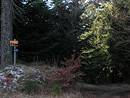Dpart du chemin vers le Ron des Egos