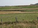 Couleurs, formes et textures tenues dans un crin : le paysage agricole prcieux de la plaine