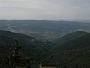 Les pentes boises mono spcifiques de rsineux sur la montagne du Goulet, vues du mont Lozre