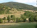Le vallon de l'Usclade vers le Mazel : boisements sur les sommets, prairies de fauche dans le fond du vallon ; entre les deux : une friche en voie de colonisation par les arbres
