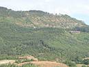 Problme de gestion forestire sur les pentes du causse de Changefge visibles depuis Mende