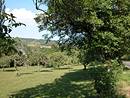 Noyers et verger de fruitiers entre la Canourgue et Banassac : une ambiance dj mridionale