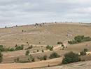 Pelouses et pierres calcaires en murets et clapas sur une pente du causse