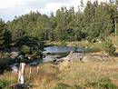Petite zone humide prs de la Fage-Montivernoux